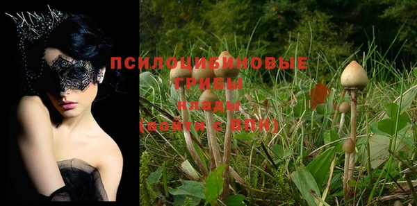 дурь Краснослободск