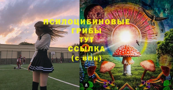 дурь Краснослободск