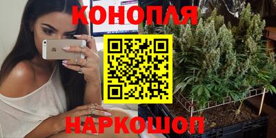 герыч Камышлов