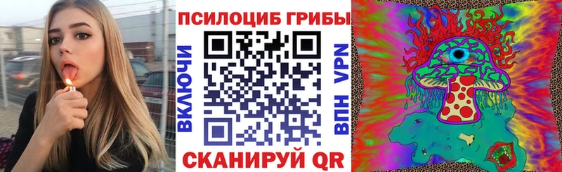 Псилоцибиновые грибы прущие грибы  где можно купить наркотик  Миллерово 