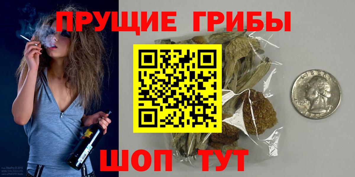 Псилоцибиновые грибы GOLDEN TEACHER  Миллерово  Псилоцибиновые грибы ЛСД 